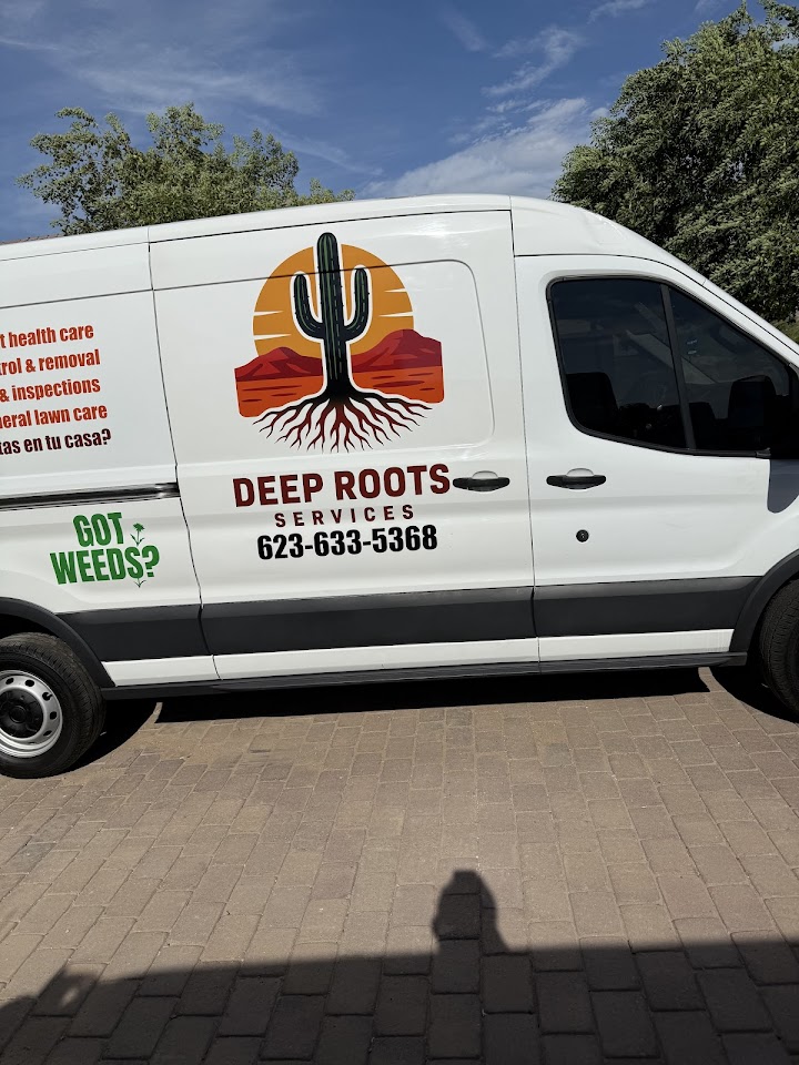 Deep roots services project